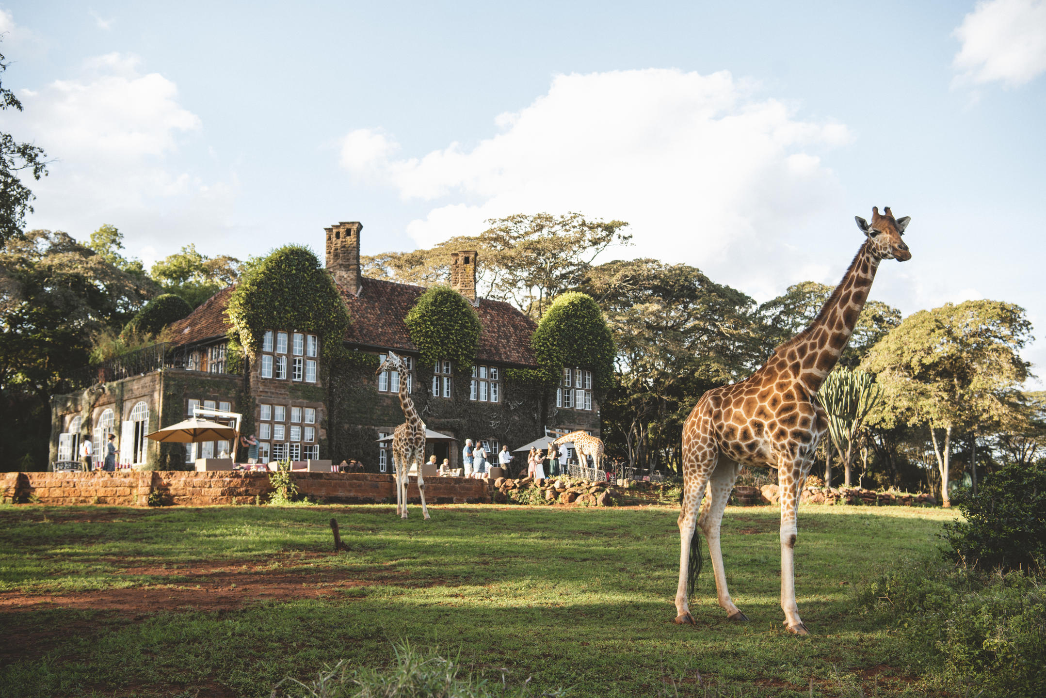 Giraffe Manor